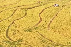 米6体育-包含巴塞罗那豪取三分，扩大领先优势的词条