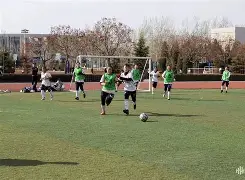 赛程紧凑节奏激烈,各队实力翻盘夺冠机会是什么