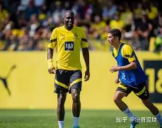 关于拜仁慕尼黑又添新星，德甲霸主实力更上一层楼的信息