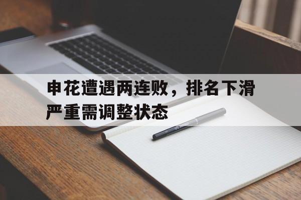 申花遭遇两连败，排名下滑严重需调整状态的简单介绍